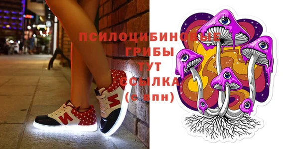дурь Михайлов