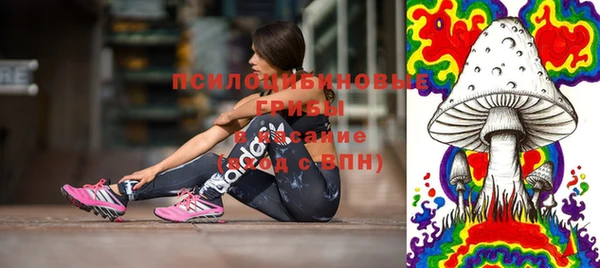 дурь Михайлов