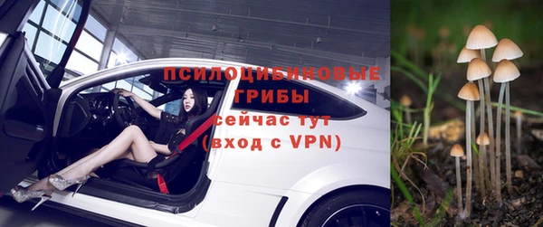 дурь Михайлов